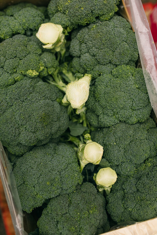 Tender Stem Broccoli -photo 4