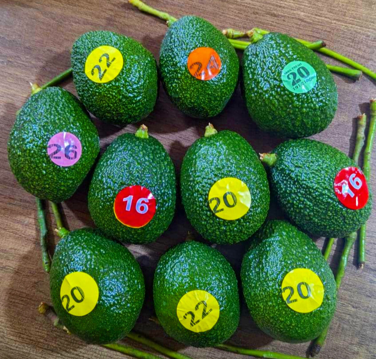Avocado grading
