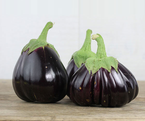 Aubergine
