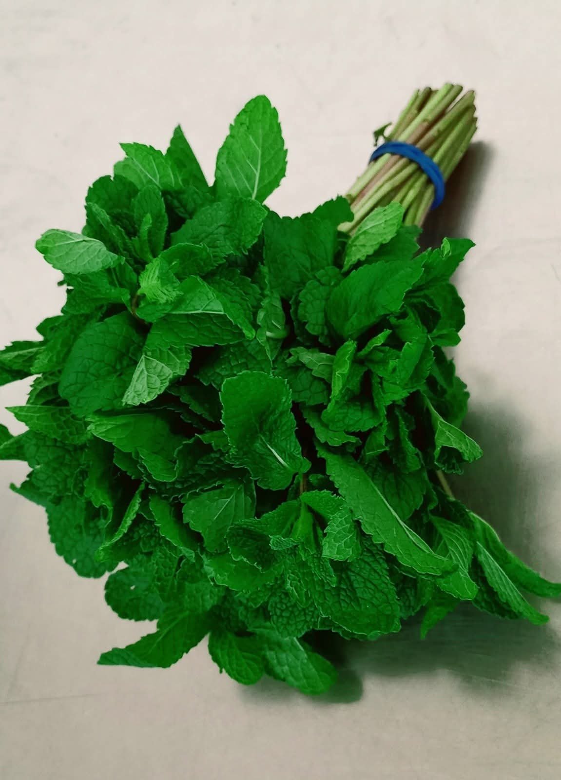 Basil -photo 3