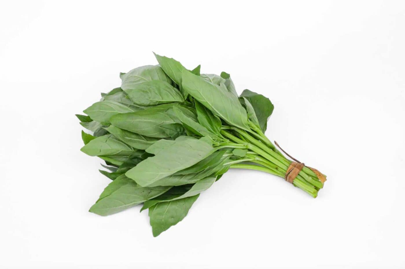 Basil