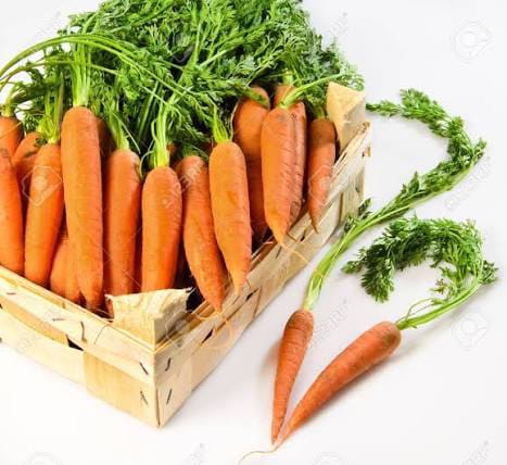 Carrots -photo 2
