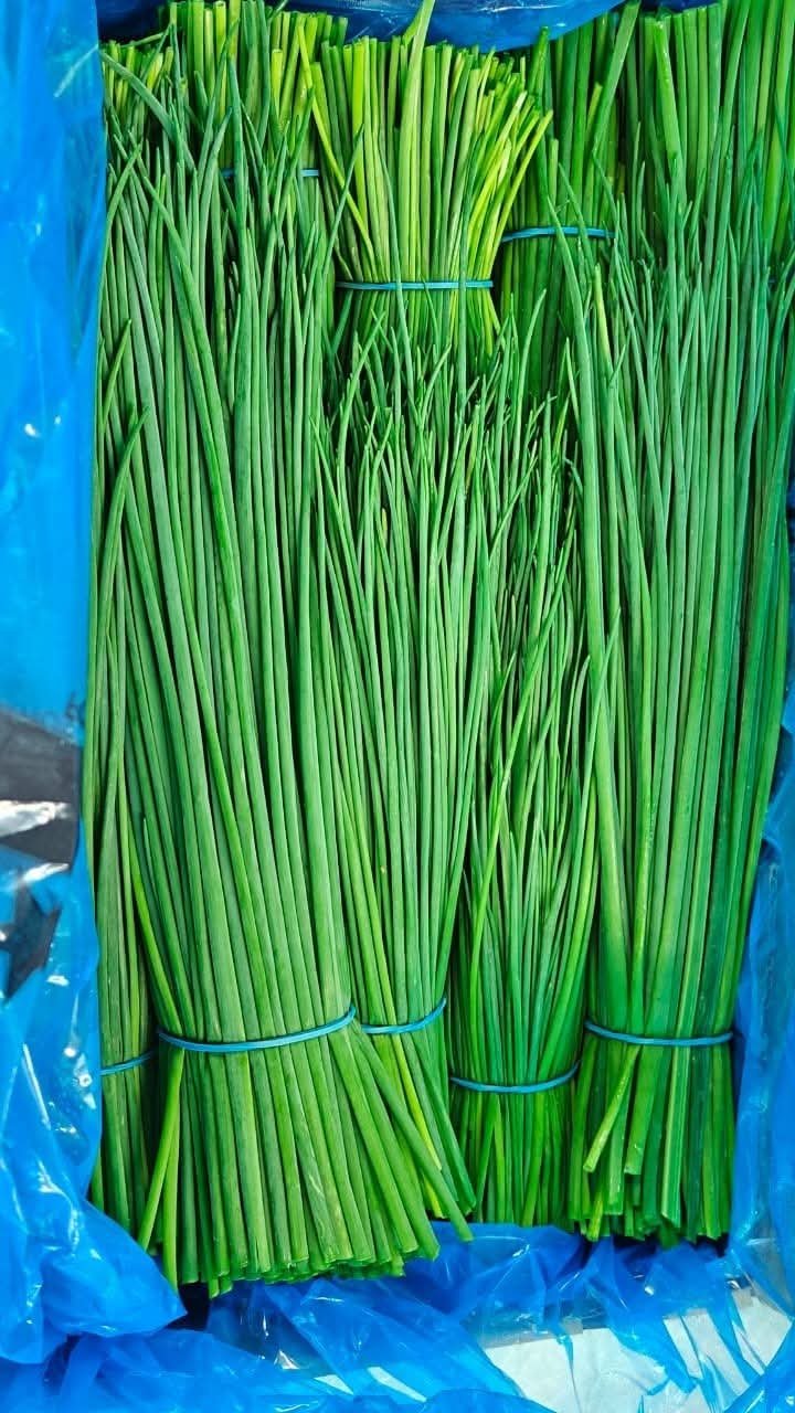 Chives -photo 4