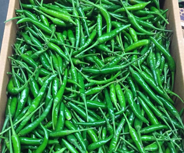 Green Bird's Eye Chillies -photo 2