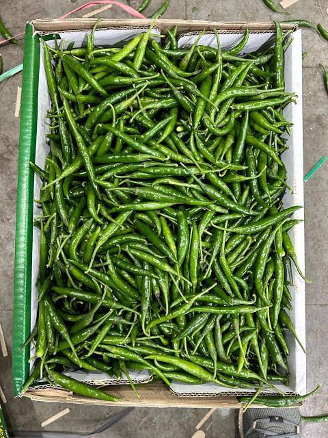 Green Bird's Eye Chillies -photo 3