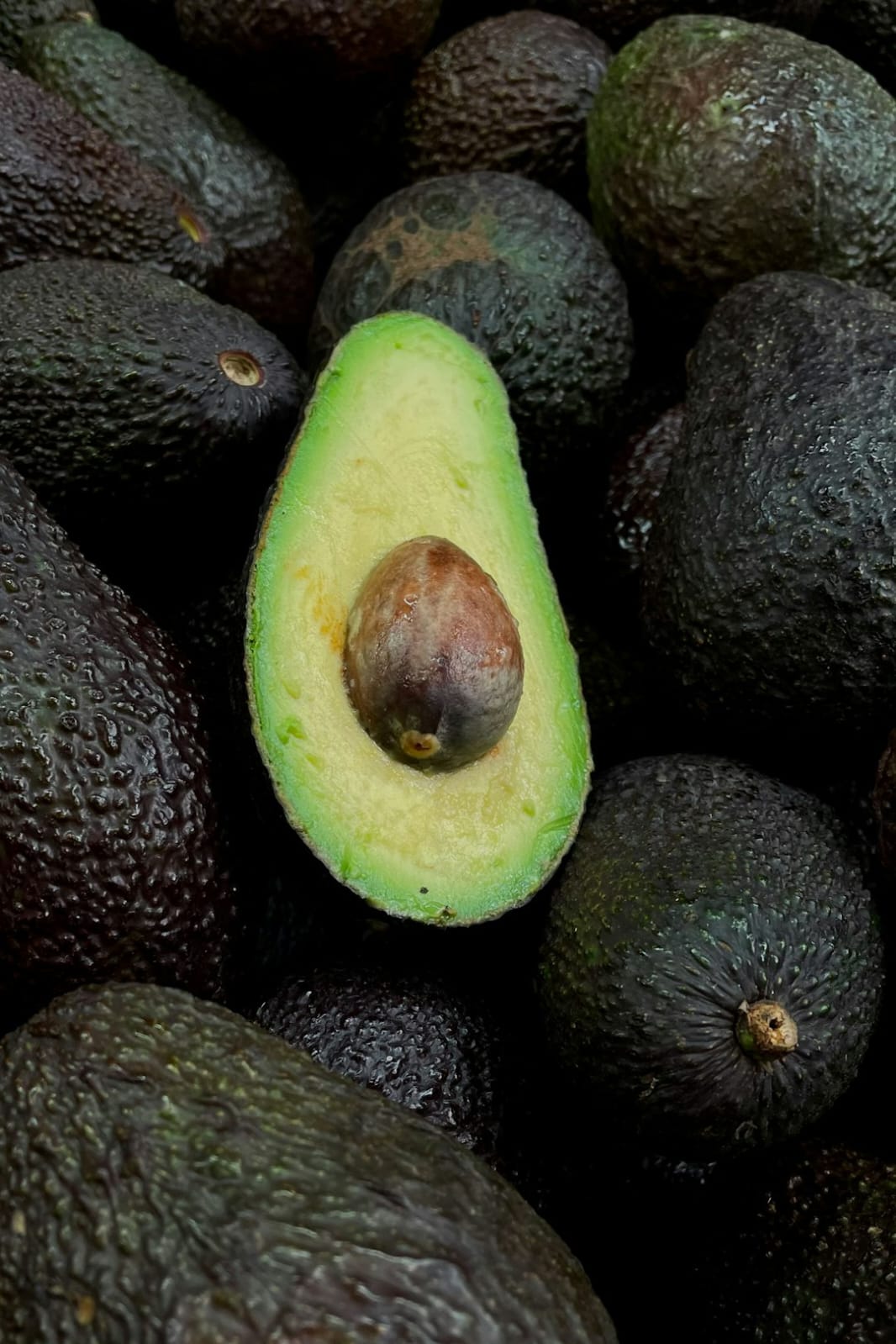 Hass Avocado -photo 6