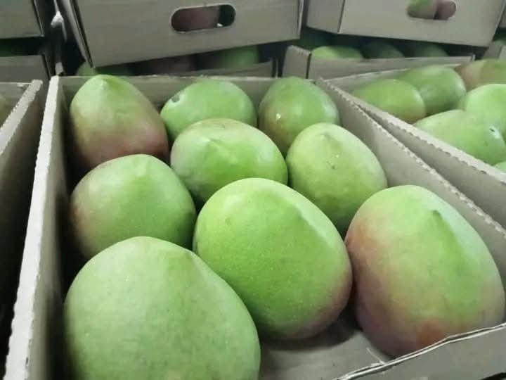 Mangoes