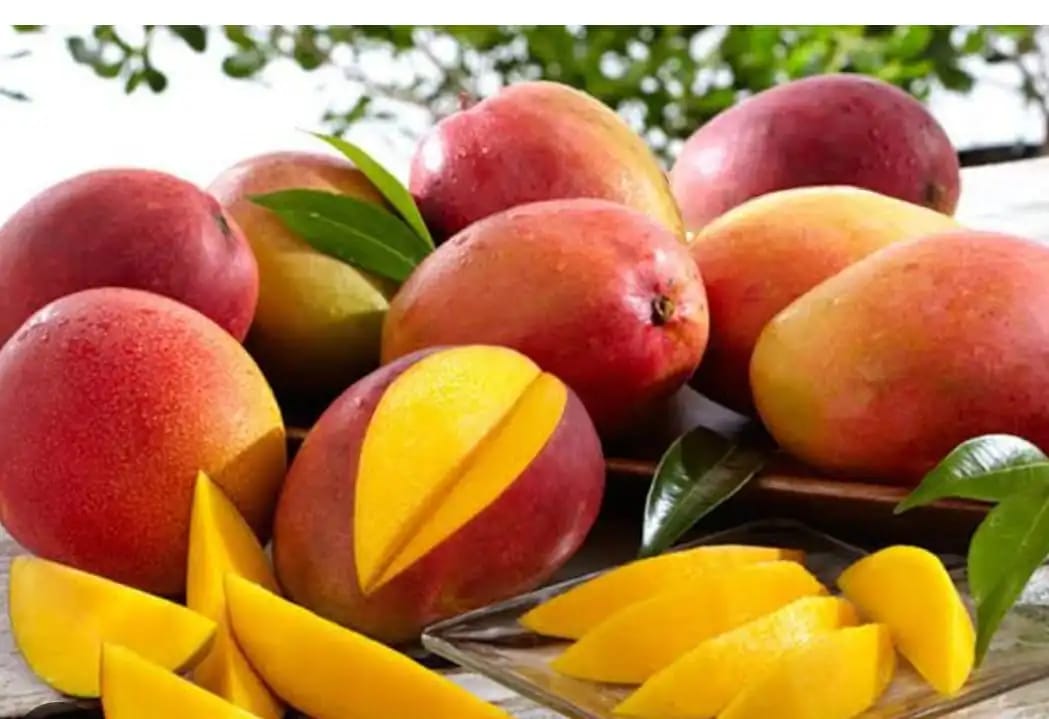 Mangoes -photo 2