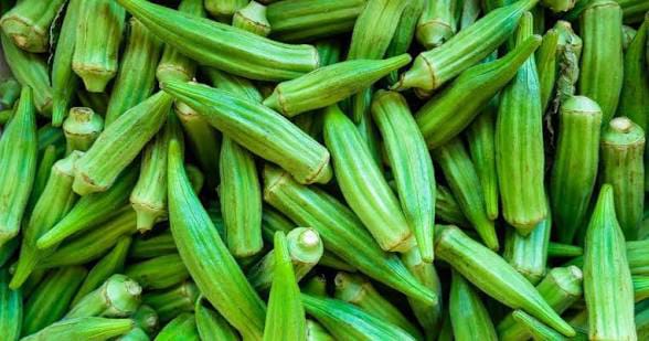 Okra -photo 2