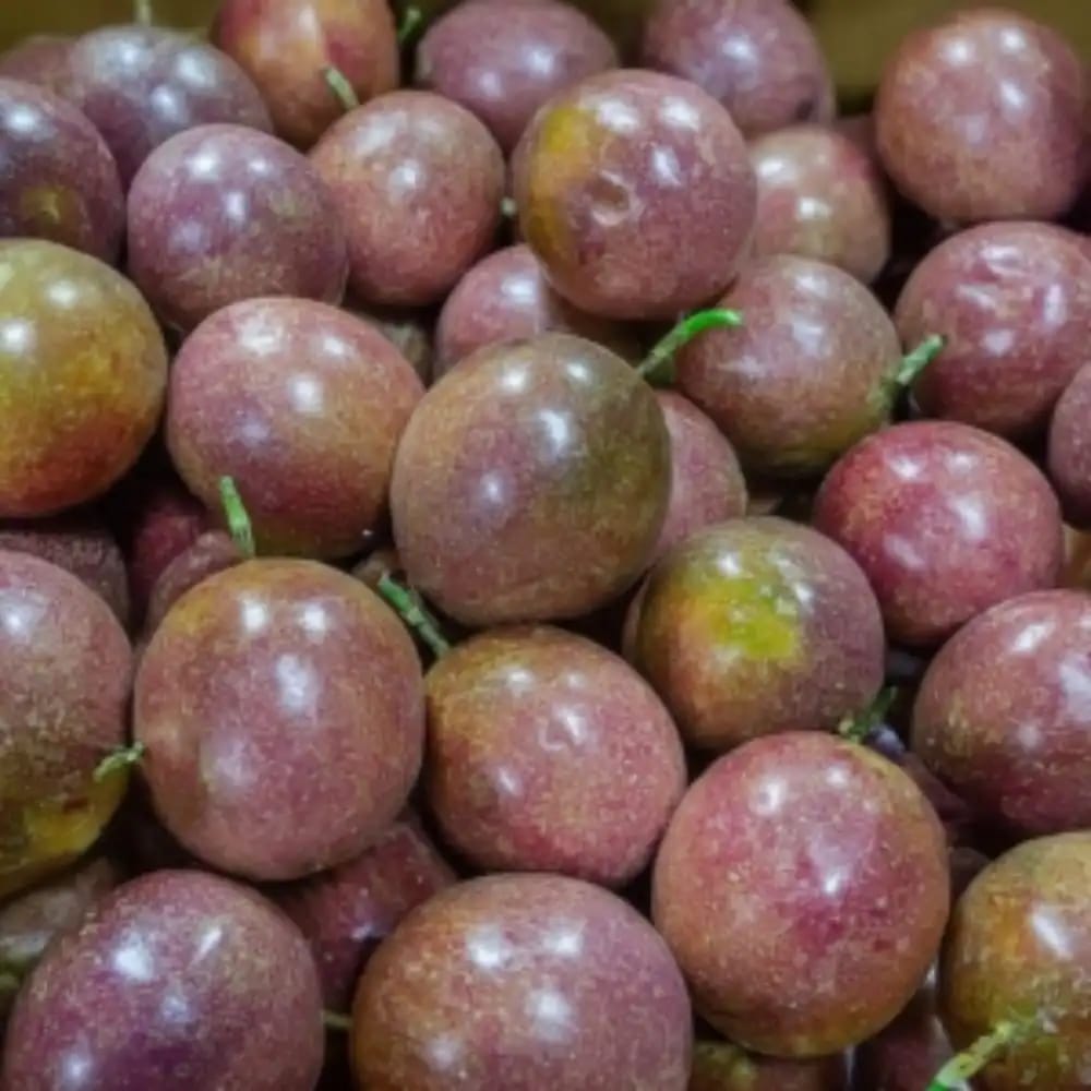 Purple Passion Fruit -photo 2
