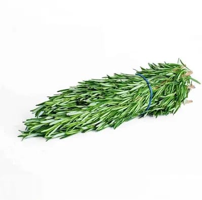 Rosemary -photo 2