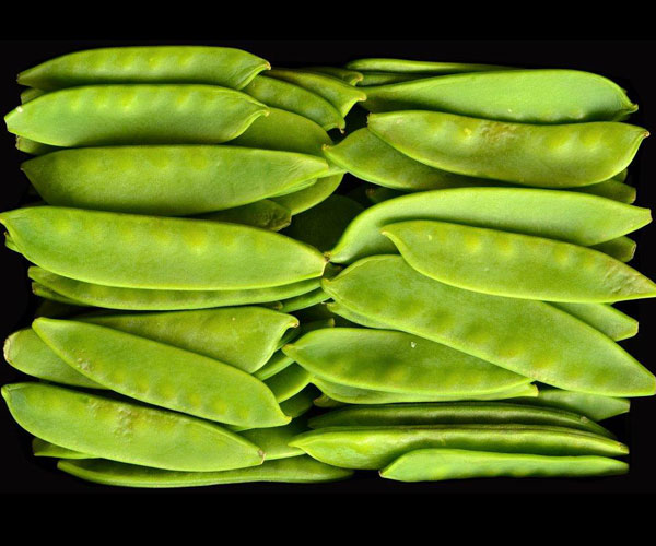 Snow Peas