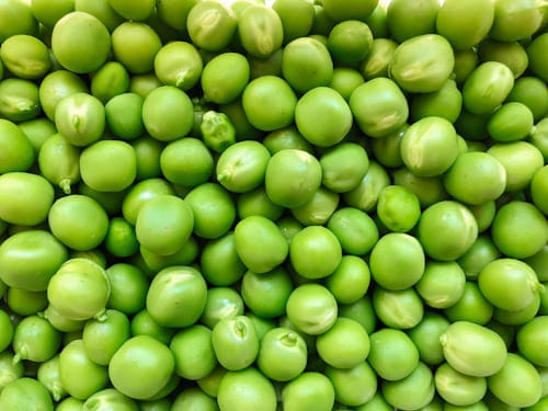Sugar Snaps -photo 2