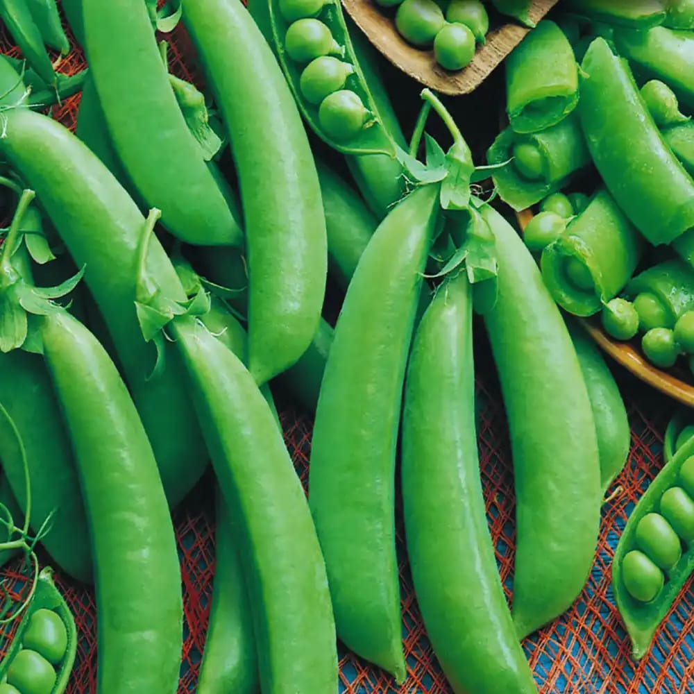Sugar Snaps