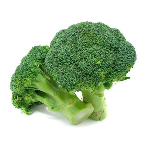Tender Stem Broccoli -photo 2
