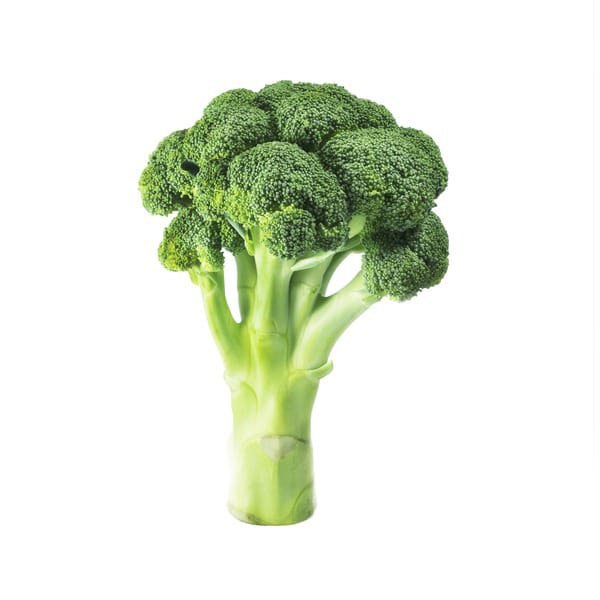 Tender Stem Broccoli -photo 3